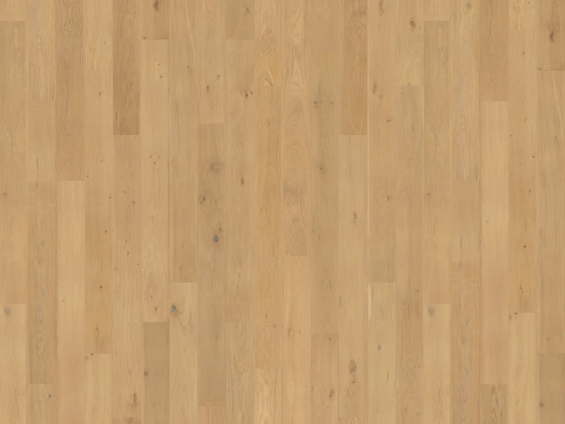 Deep Sand Sea Laminate